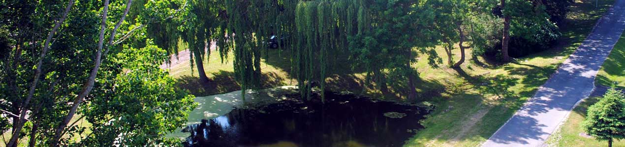 Impressionen aus dem Amtsgeniet